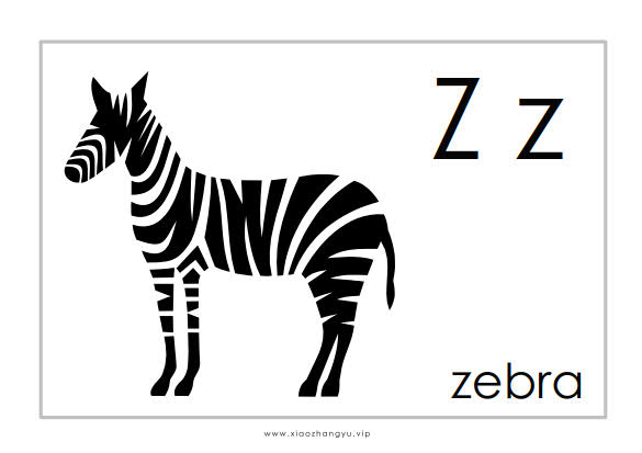 Z_1.jpg